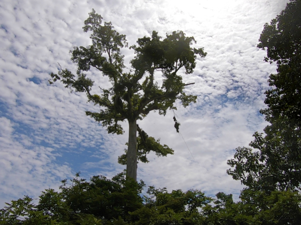 vista-dulce-cuervito-pavones-20-acre-finca