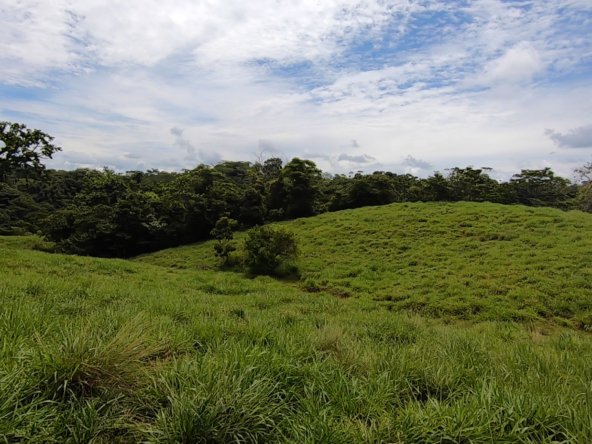 vista-dulce-cuervito-pavones-20-acre-finca