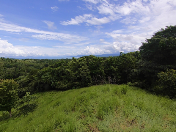 vista-dulce-cuervito-pavones-20-acre-finca