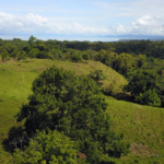 vista-dulce-finca-sur-35-acres-pavones-cuervito