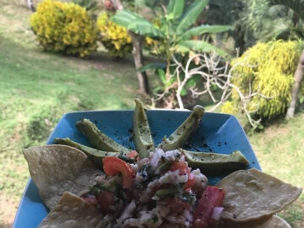 coconut-shakk-pavones-costa-rica