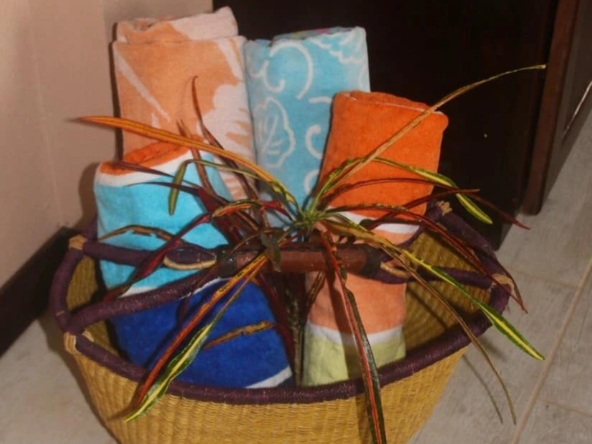 coconut-shakk-pavones-costa-rica