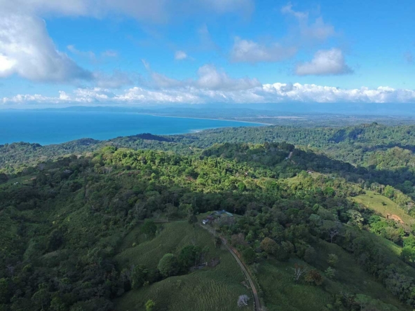 finca-vaca-gorda-pavones-land-for-sale