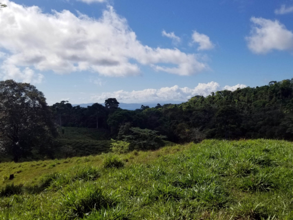 finca-vaca-gorda-pavones-land-for-sale