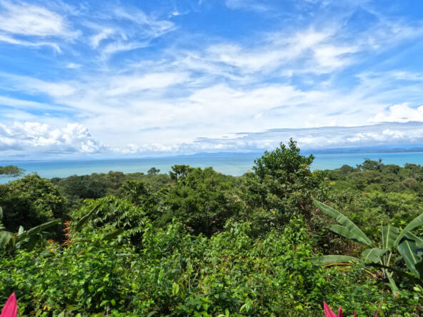 pavones-ocean-view-paradise