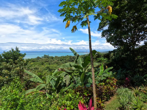 pavones-ocean-view-paradise