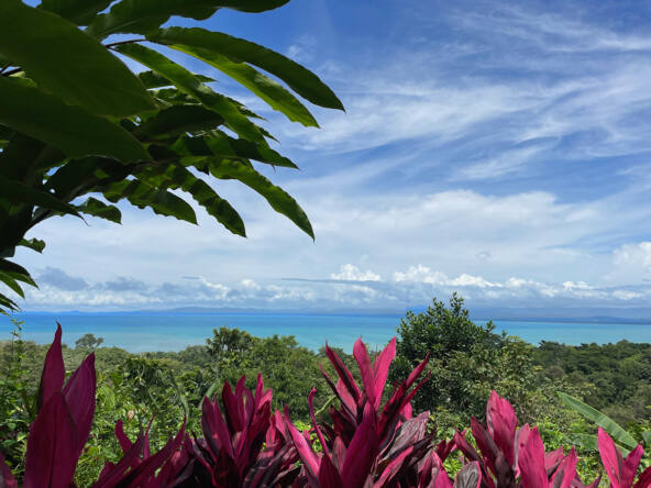 pavones-ocean-view-paradise
