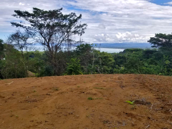 pilon-pavones-ocean-view-lot