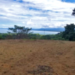 pilon-pavones-ocean-view-lot