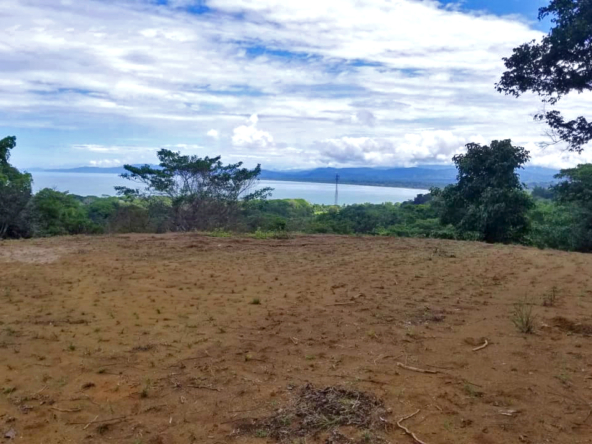 pilon-pavones-ocean-view-lot