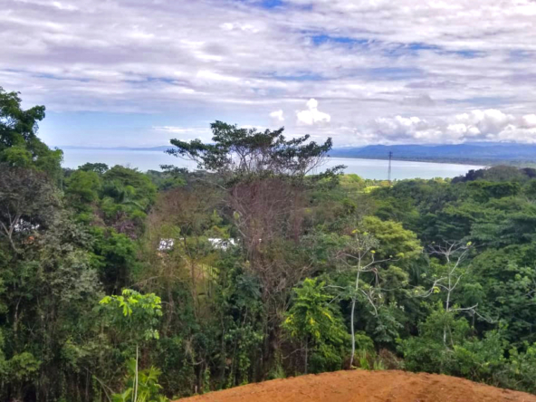 pilon-pavones-ocean-view-lot