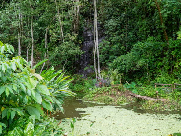 waterfall-property-costa-rica