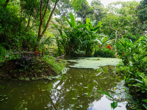 waterfall-property-costa-rica