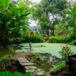 waterfall-property-costa-rica