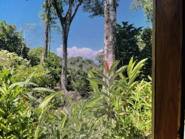 Casa-Santa-Clara-Pavones-Costa-Rica