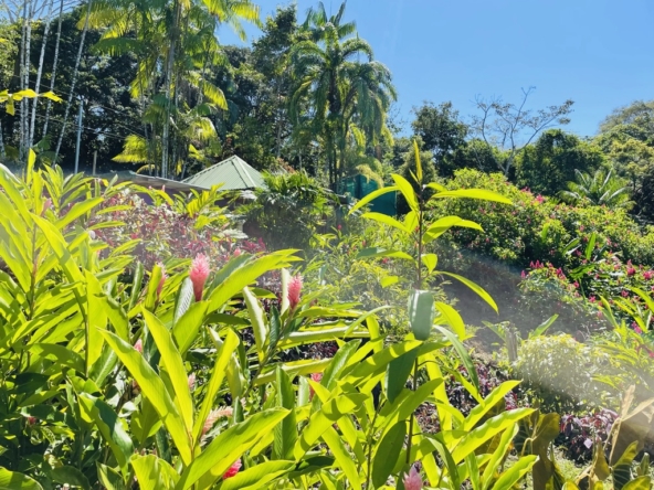 Casa-Santa-Clara-Pavones-Costa-Rica