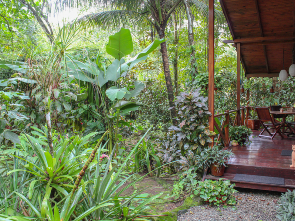Lucrative-Bed-and-Breakfast-in-Ojochal