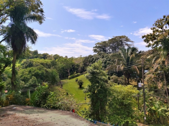 boutique-hotel-manuel-antonio-costa-rica-real-estate