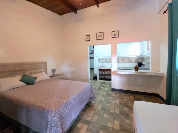 boutique-hotel-manuel-antonio-costa-rica-real-estate
