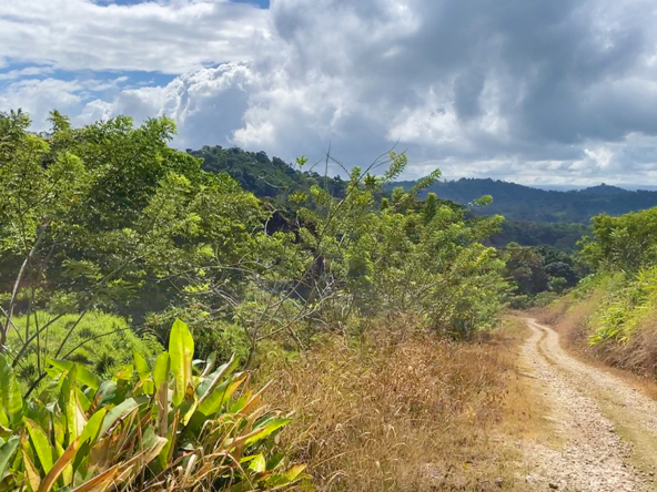 finca-rio-coto-golfito-costa-rica