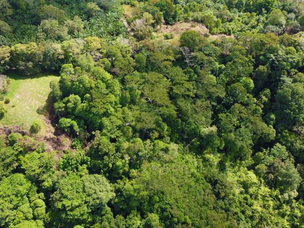 finca-rio-coto-gofito