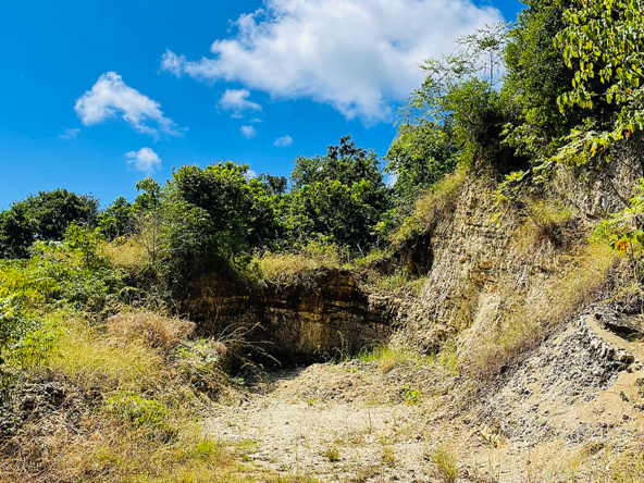 finca-rio-coto-gofito