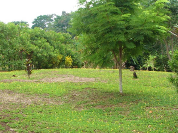 la-maravilla-de-pavon