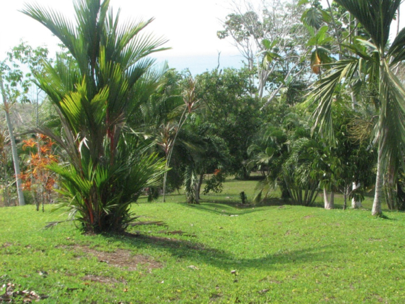 la-maravilla-de-pavon