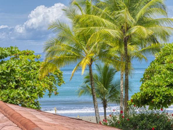 sustainable-beach-resort-osa-peninsula
