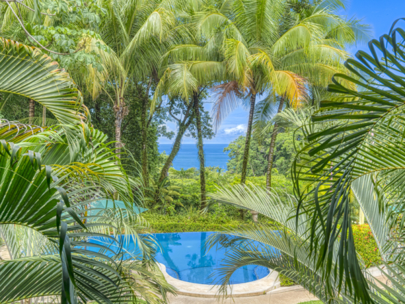 Boutique-Hotel-Costa-Ballena-costa-rica-for-sale