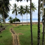 casa-amarillo-beachfront-costa-rica