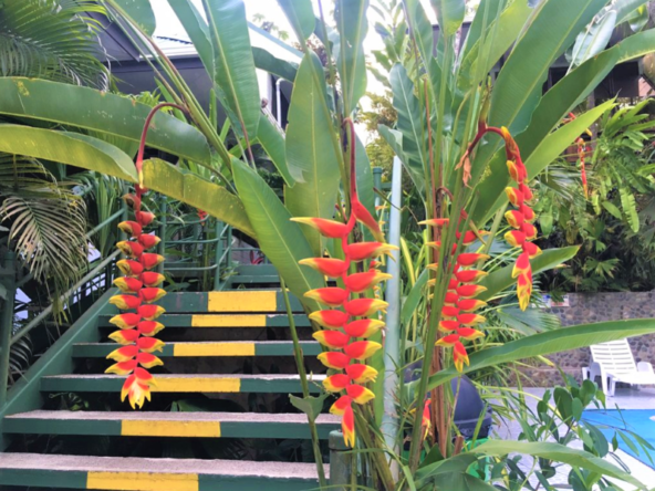 beach-close-boutique-hotel-manuel-antonio