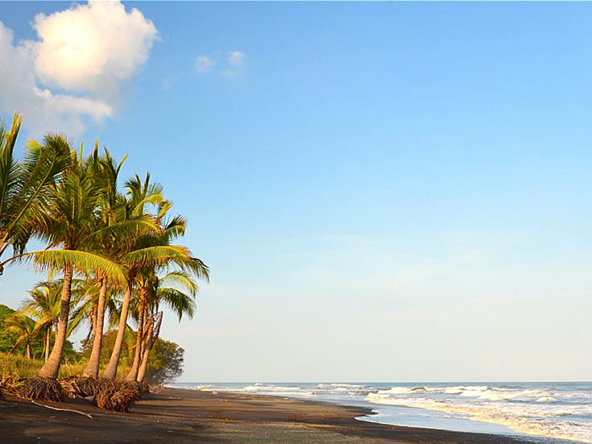 panama-beachfront-surf-resort-and-hostel