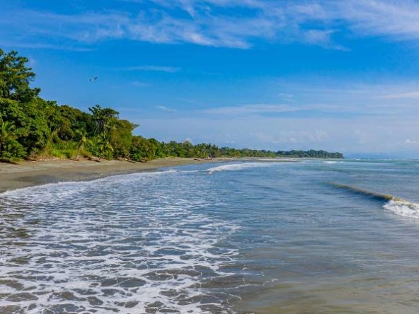 tamales-osa-peninsula-beachfront-land