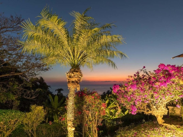 luxury-villa-pelicano-ocean-view-manuel-antonio