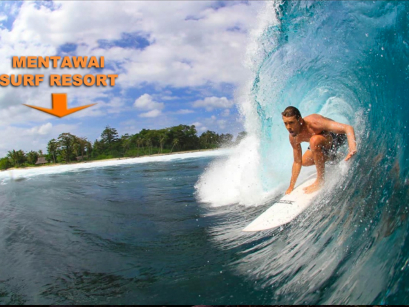 mentawai-surf-resort-camp-for-sale-indonesia