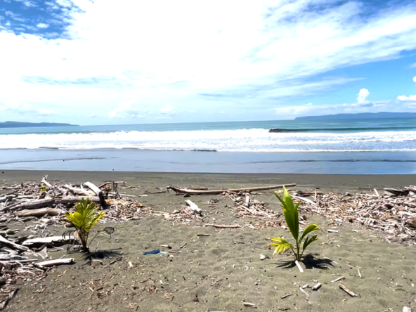 playa-zancudo-beach-lot-for-sale