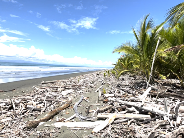playa-zancudo-beach-lot-for-sale