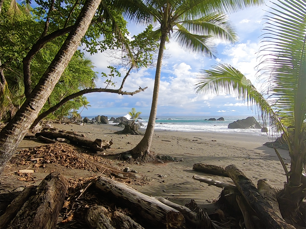 la-piña-italian-restaurant-pavones-punta-banco-9