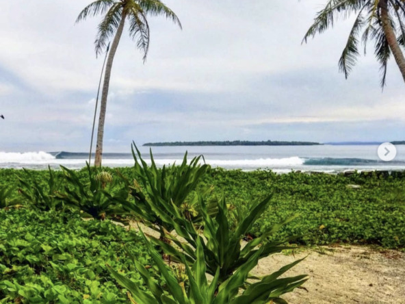 mentawai-surf-resort-camp-for-sale