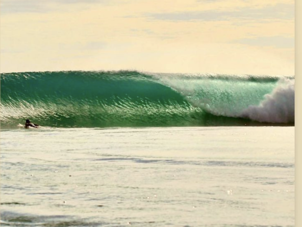 mentawai-surf-resort-camp-for-sale
