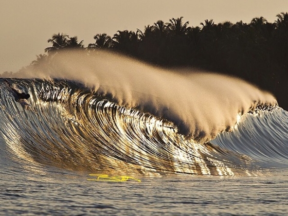 mentawai-surf-resort-camp-for-sale