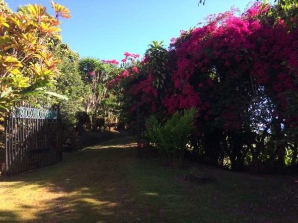 san-vito-garden-estate-costa-rica