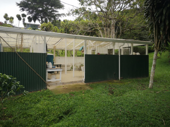 san-vito-garden-estate-costa-rica
