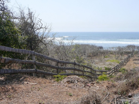 casa-palo-alto-for-sale