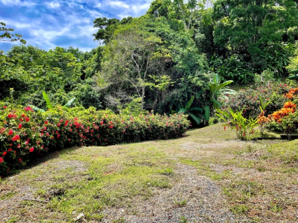 6.95-acres-ocean-view-costa-rica