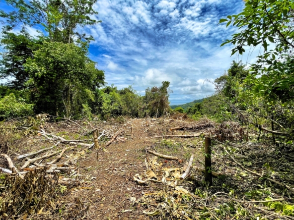 6.95-acres-ocean-view-costa-rica