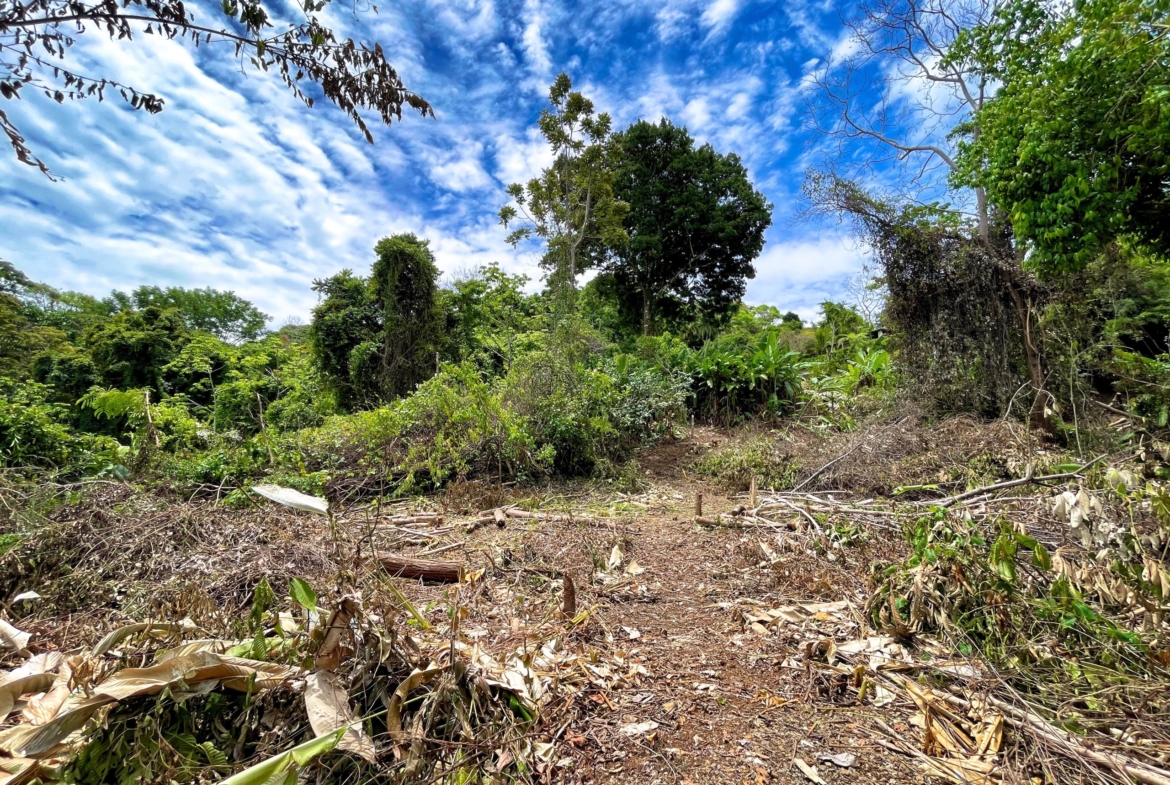 6.95-acres-ocean-view-costa-rica