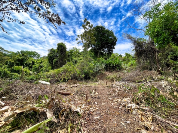 6.95-acres-ocean-view-costa-rica