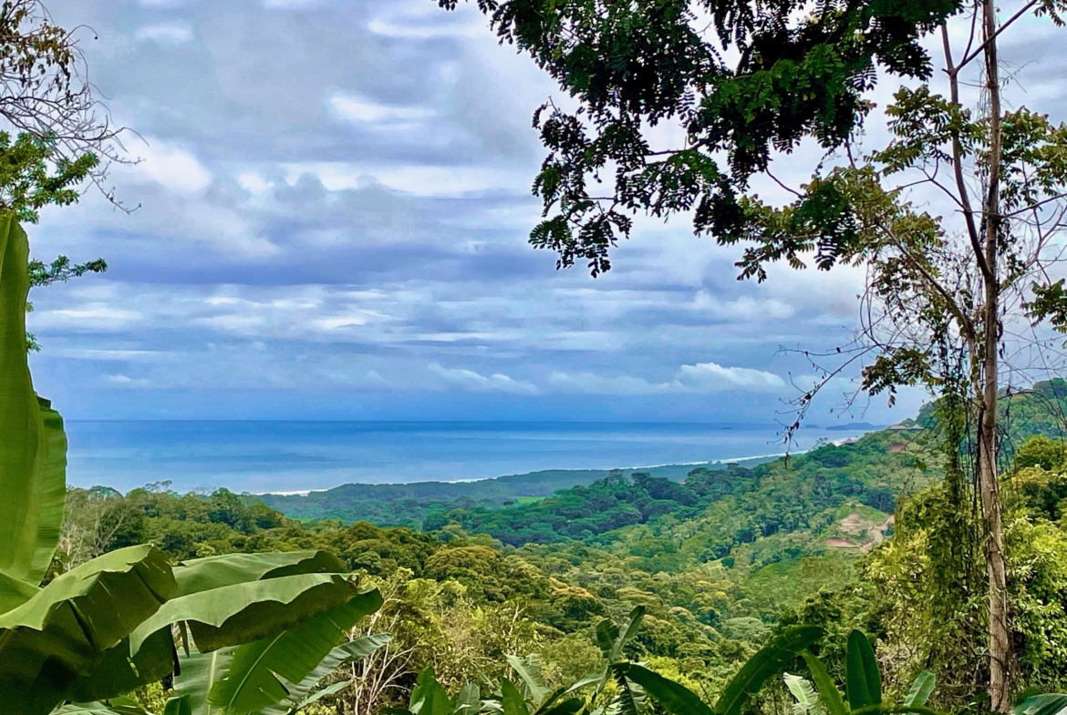 6.95-acres-ocean-view-costa-rica